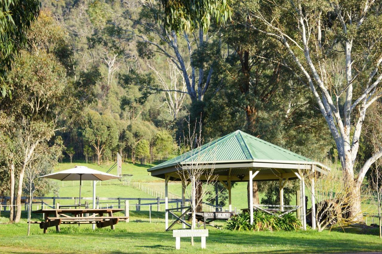 Halls On Falls Homestead Strath Creek 외부 사진